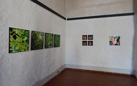 _DSC1850.jpeg