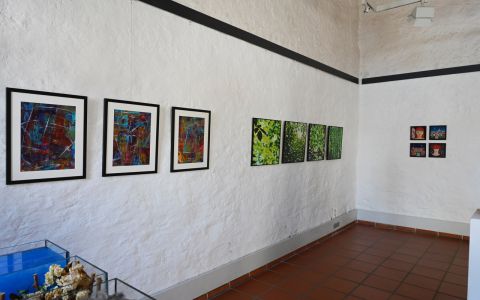 _DSC1849.jpeg