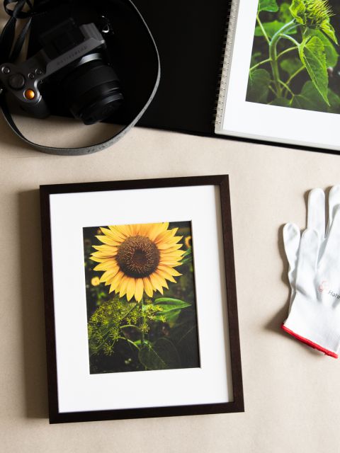 Sunflowers 2024 No 4_Rahmen.jpg